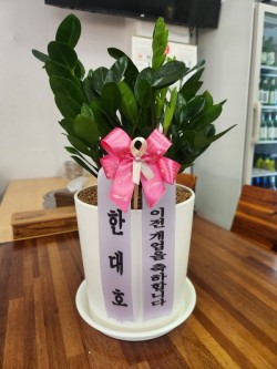 배송사진