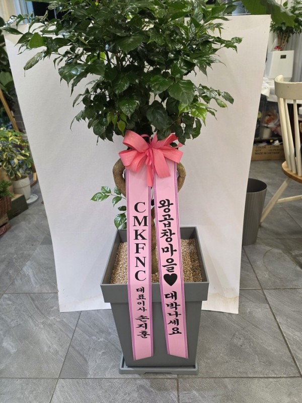 업로드 이미지
