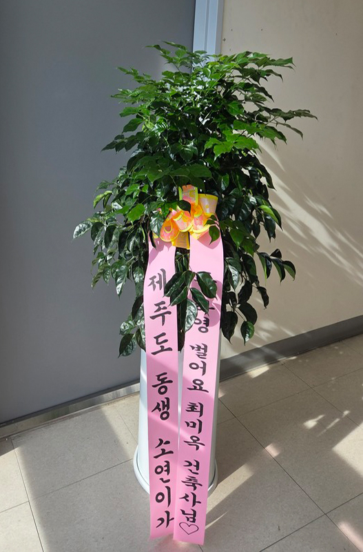 업로드 이미지