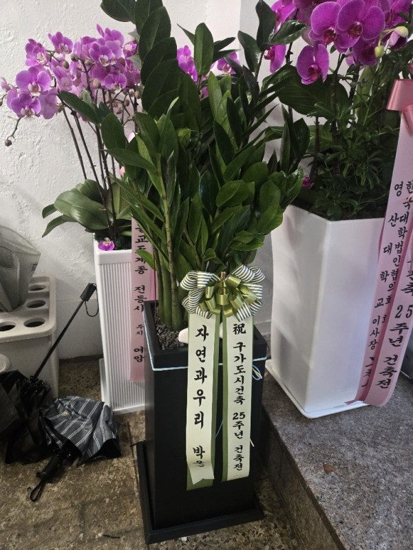 업로드 이미지
