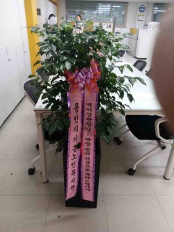 배송사진