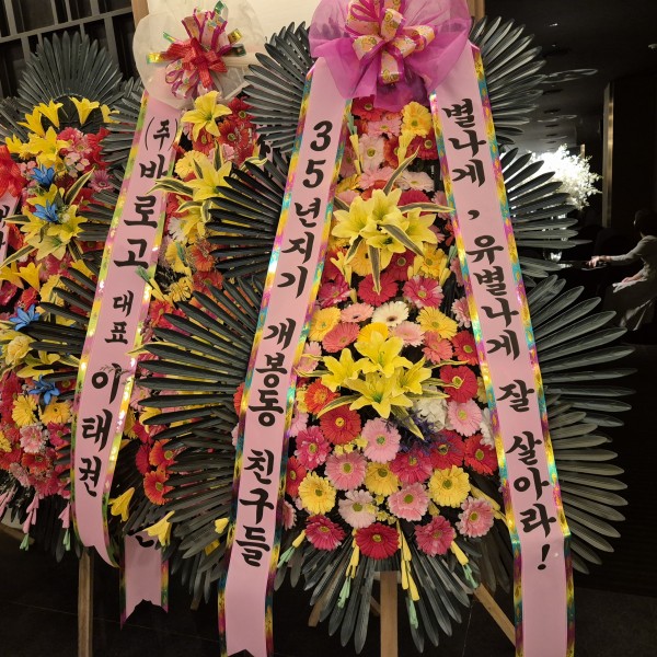 업로드 이미지