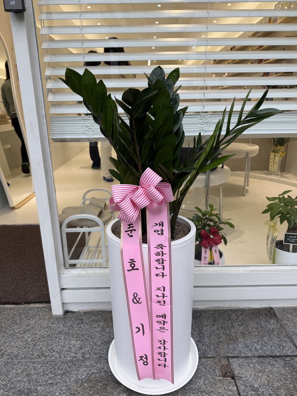 업로드 이미지