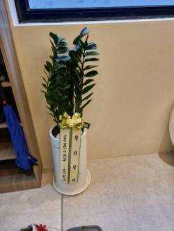 배송사진