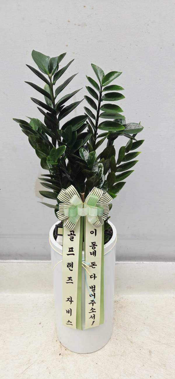 업로드 이미지