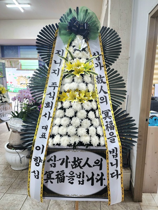 업로드 이미지