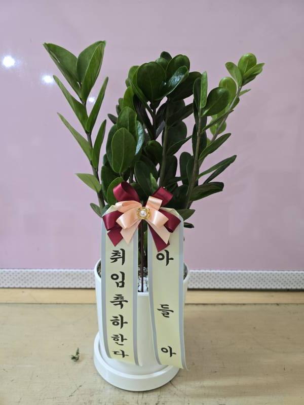 업로드 이미지
