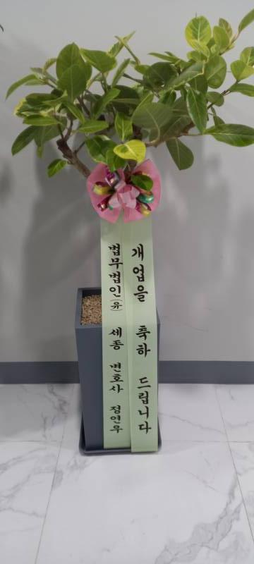 업로드 이미지
