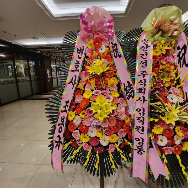 업로드 이미지