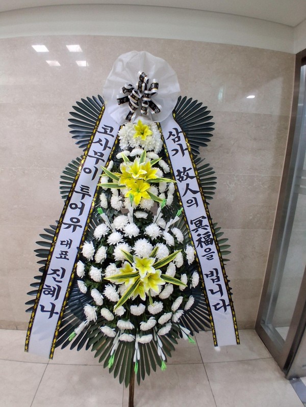 업로드 이미지