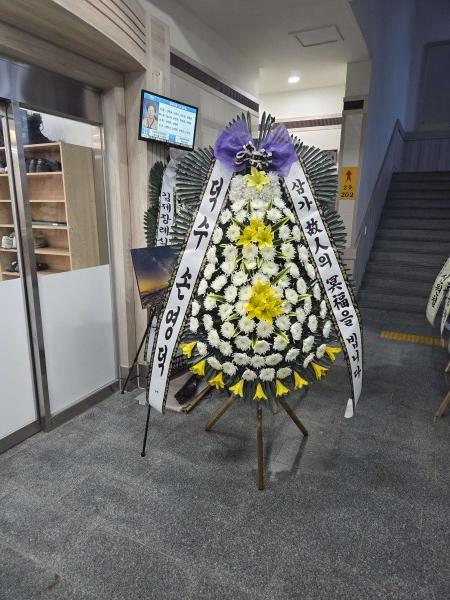 업로드 이미지