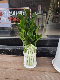 배송사진