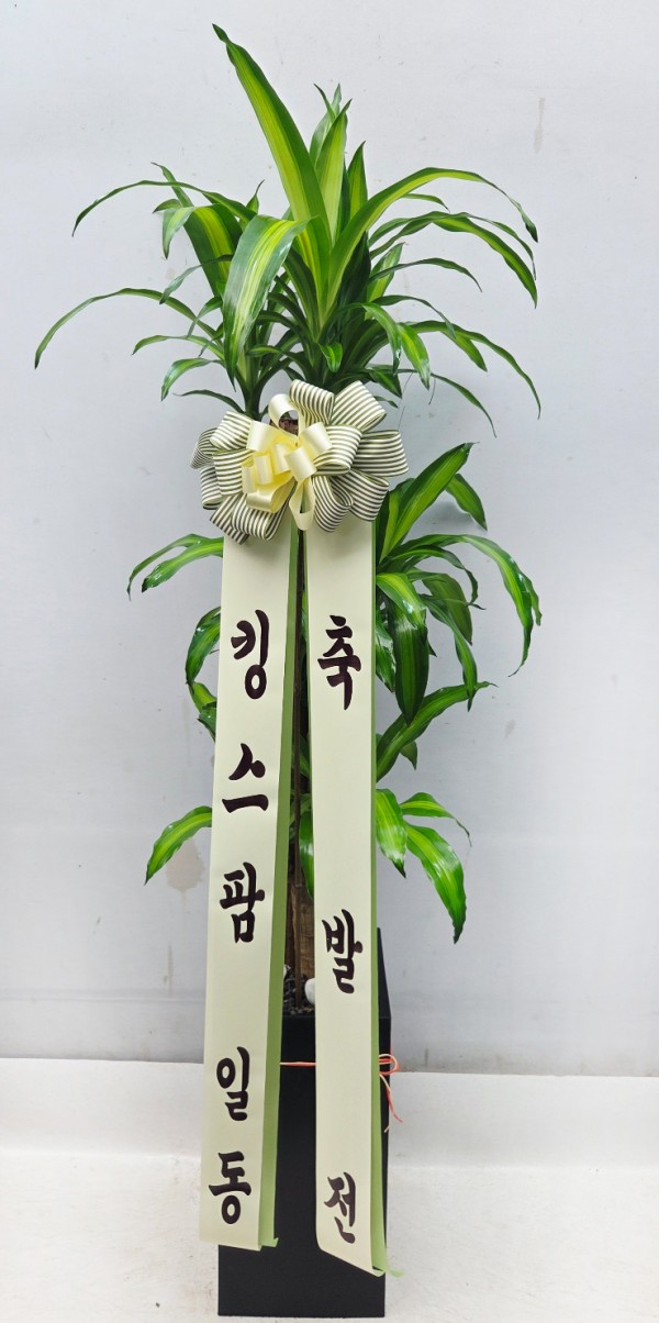 업로드 이미지
