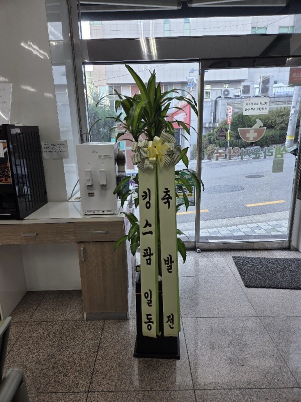 업로드 이미지