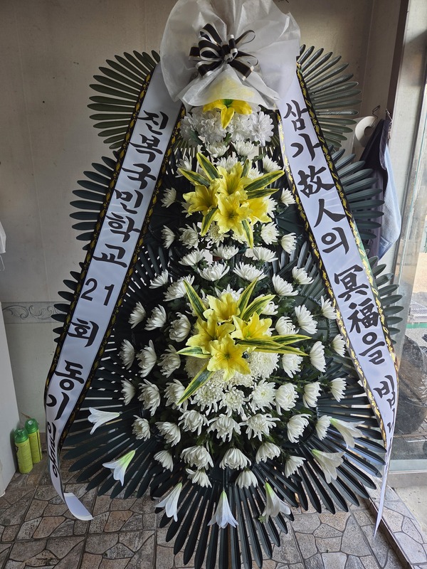 업로드 이미지