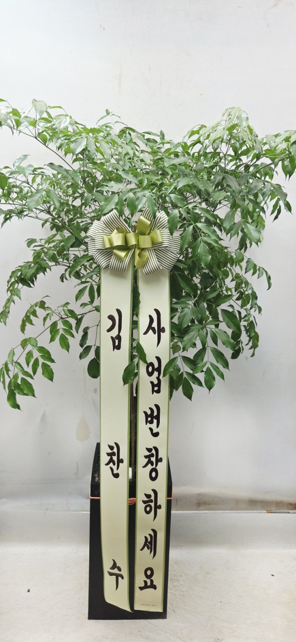 업로드 이미지