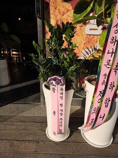 업로드 이미지