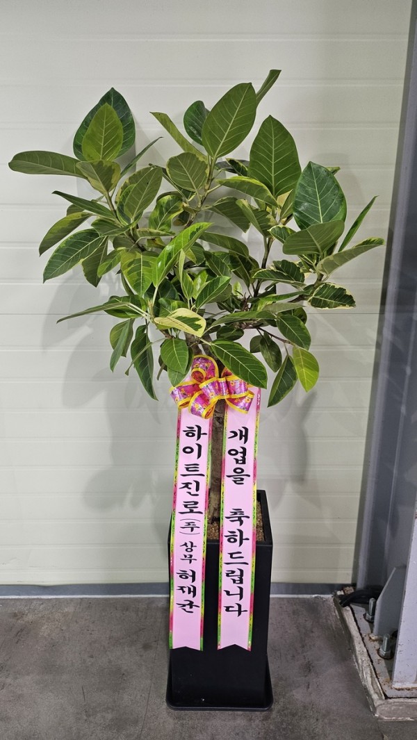 업로드 이미지