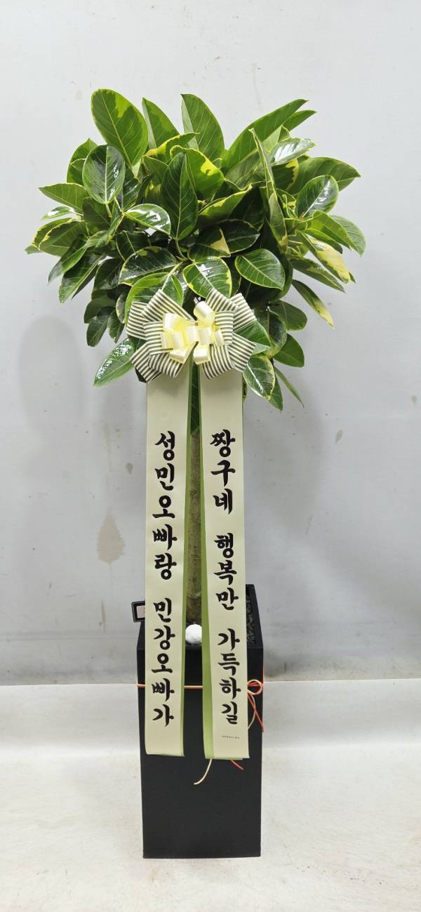 업로드 이미지