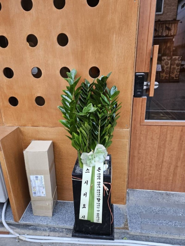 업로드 이미지