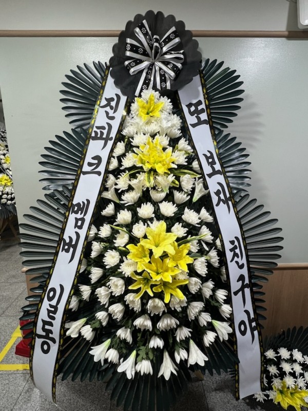 업로드 이미지