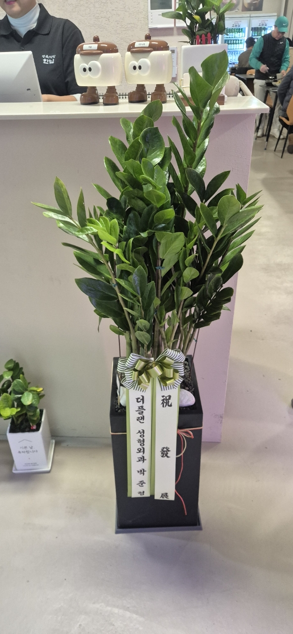 업로드 이미지