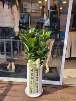 배송사진