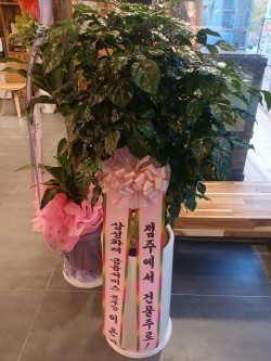 배송사진