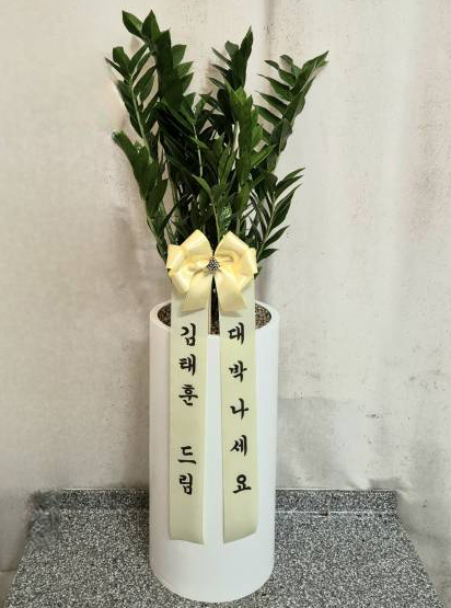 업로드 이미지