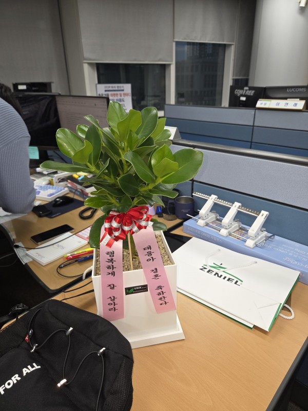 업로드 이미지