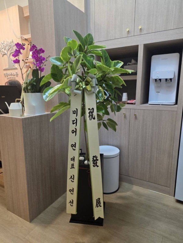 업로드 이미지
