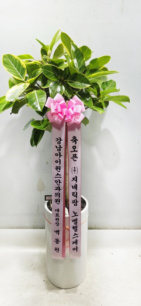 업로드 이미지