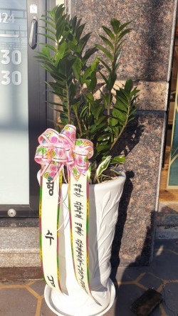 배송사진