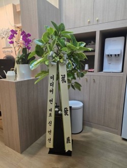 배송사진