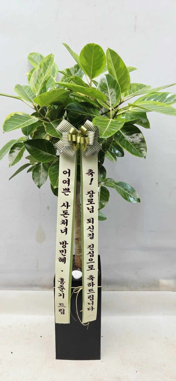 업로드 이미지
