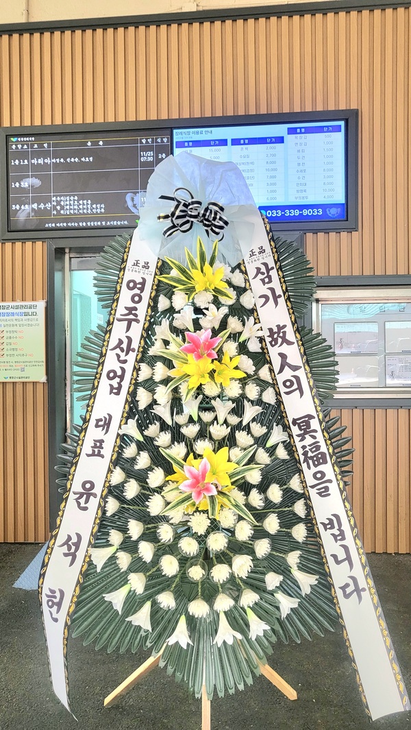 업로드 이미지