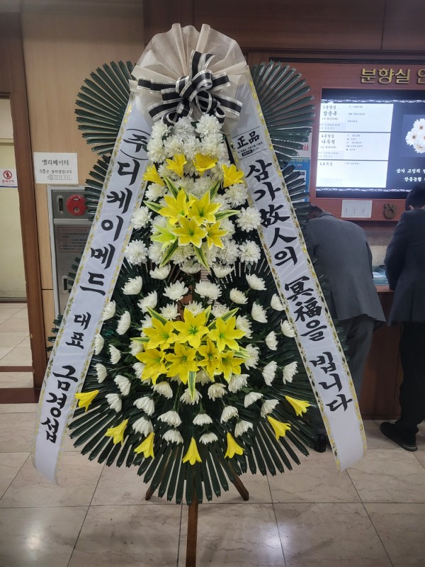 업로드 이미지