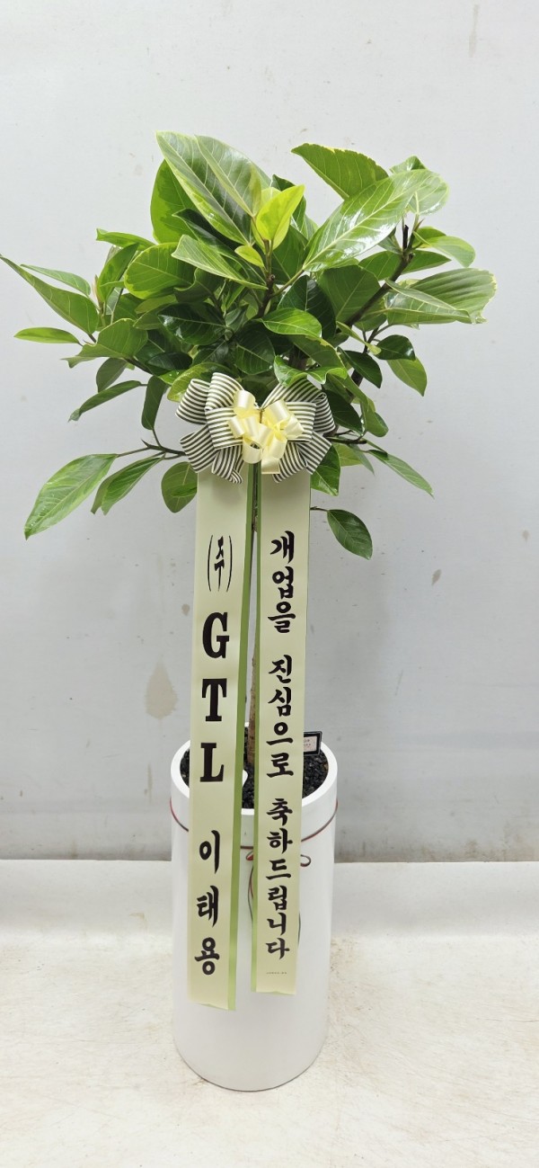 업로드 이미지