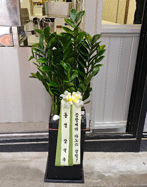 업로드 이미지
