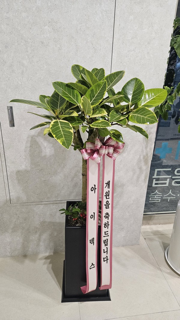 업로드 이미지