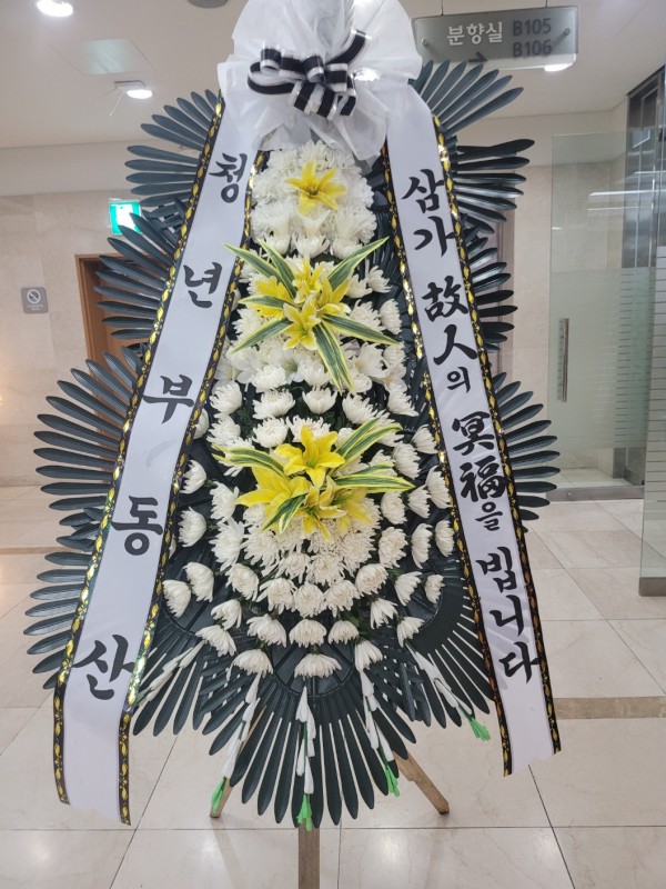 업로드 이미지