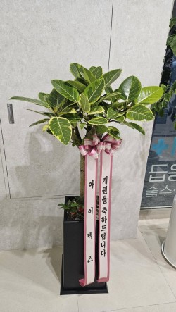 배송사진