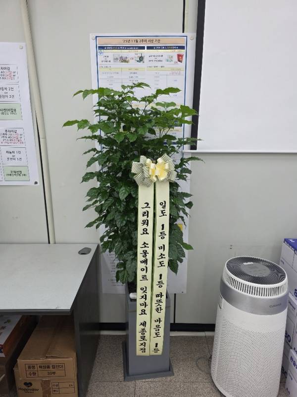 업로드 이미지