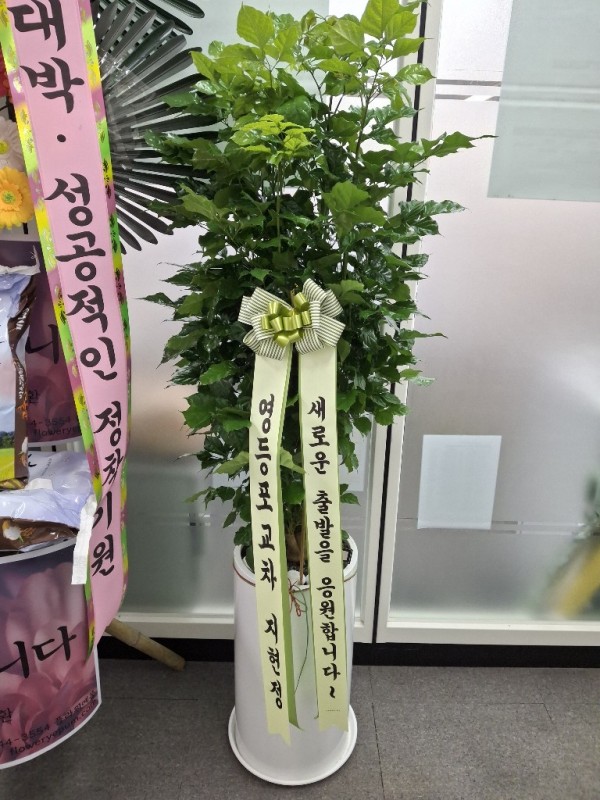 업로드 이미지