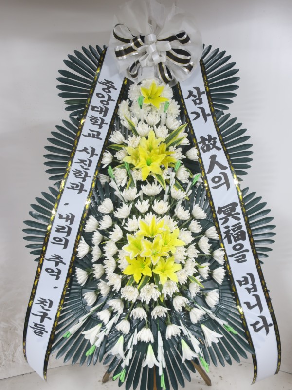 업로드 이미지