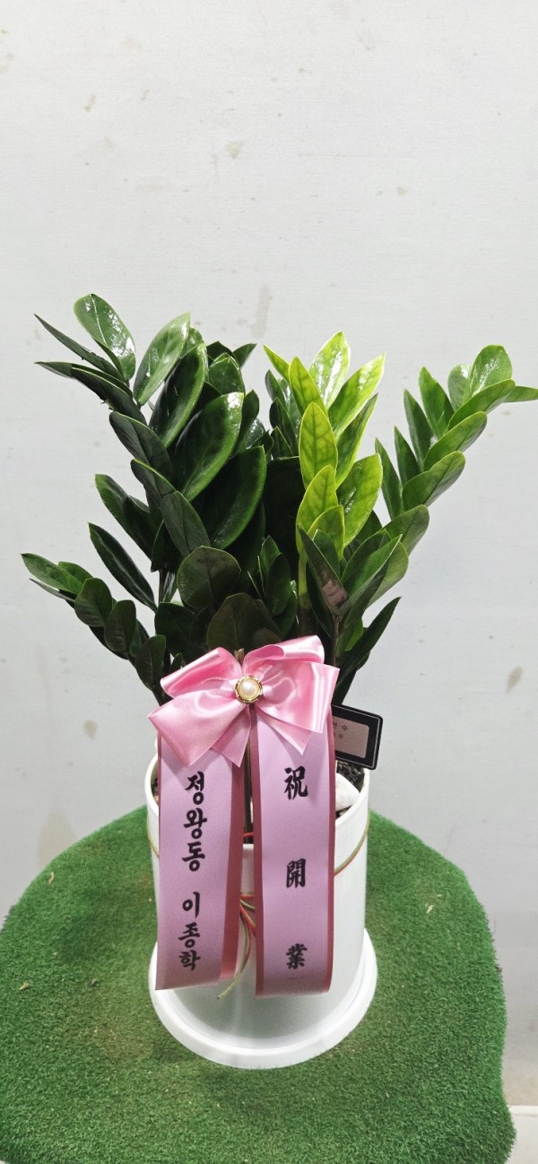 업로드 이미지