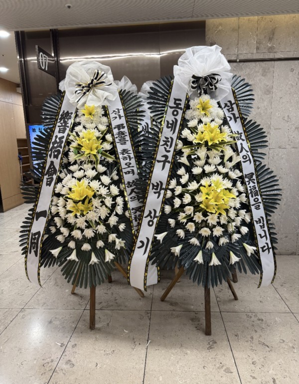 업로드 이미지