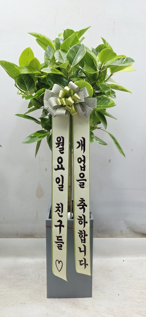 업로드 이미지