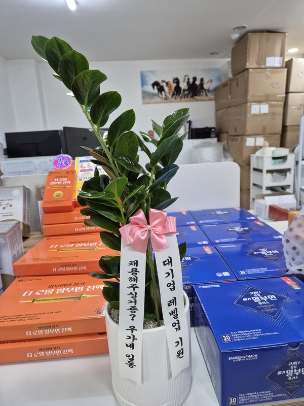 업로드 이미지