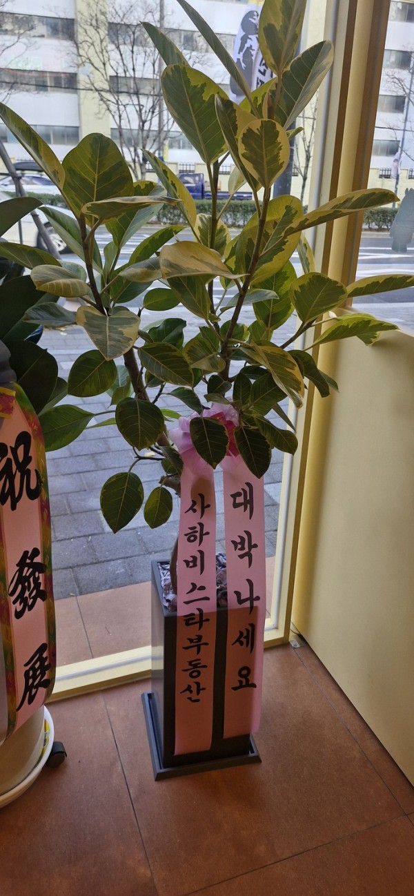 업로드 이미지